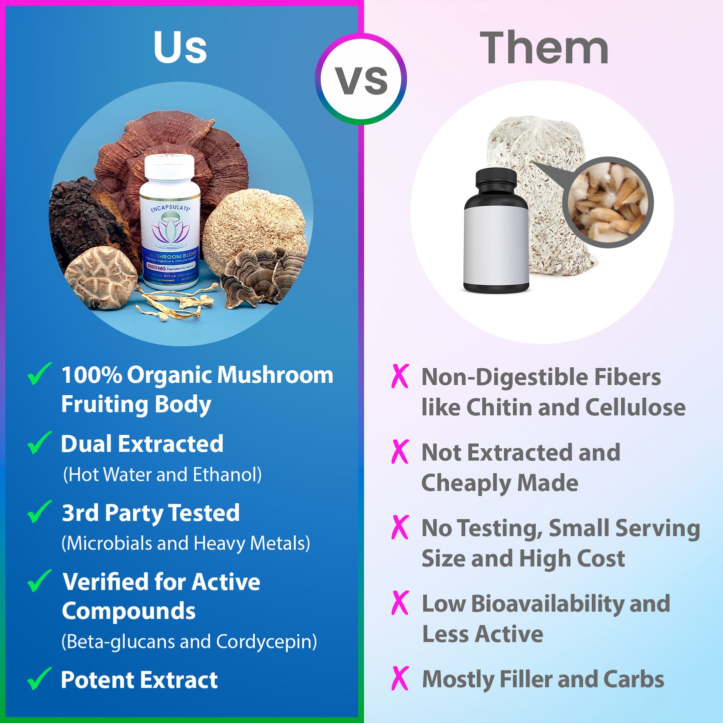 6 Mushroom Blend 8:1