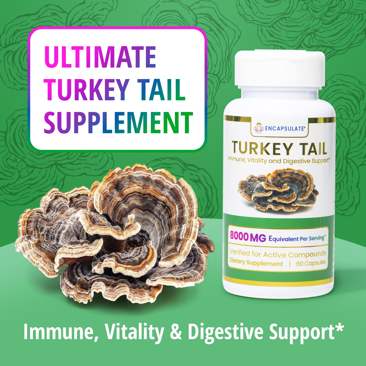 Turkey Tail Mushroom 8:1