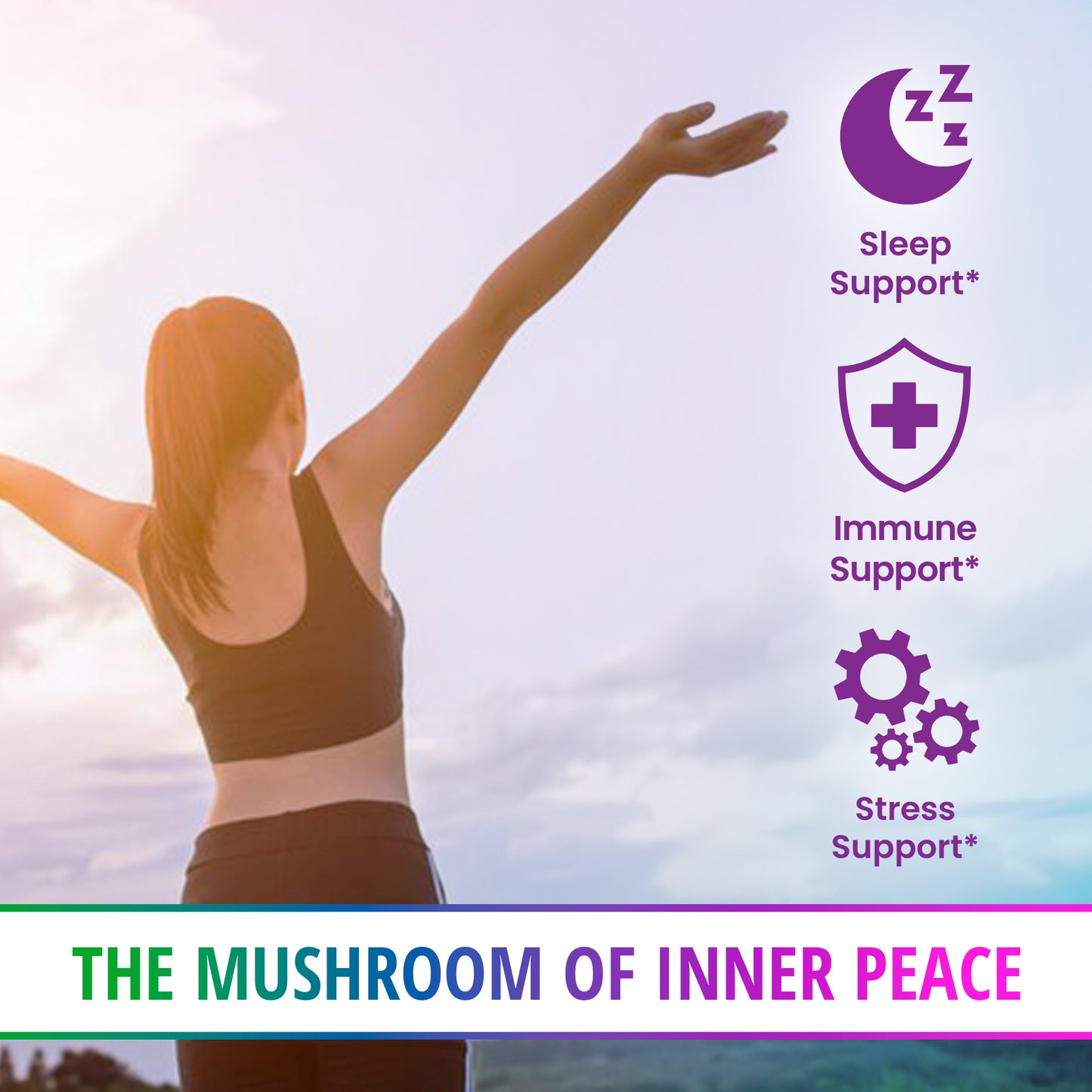 Reishi Mushroom 1:1