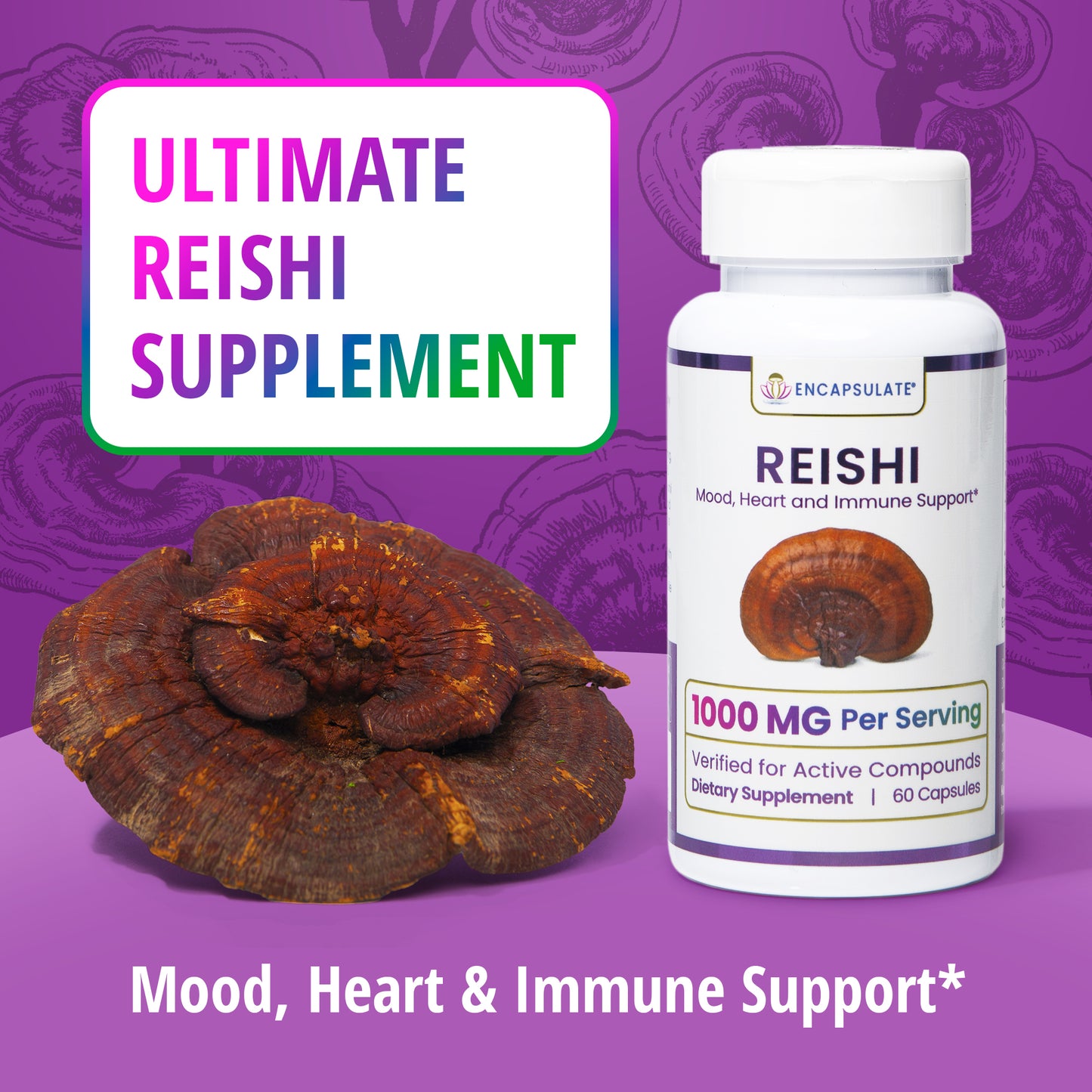 Reishi Mushroom 1:1