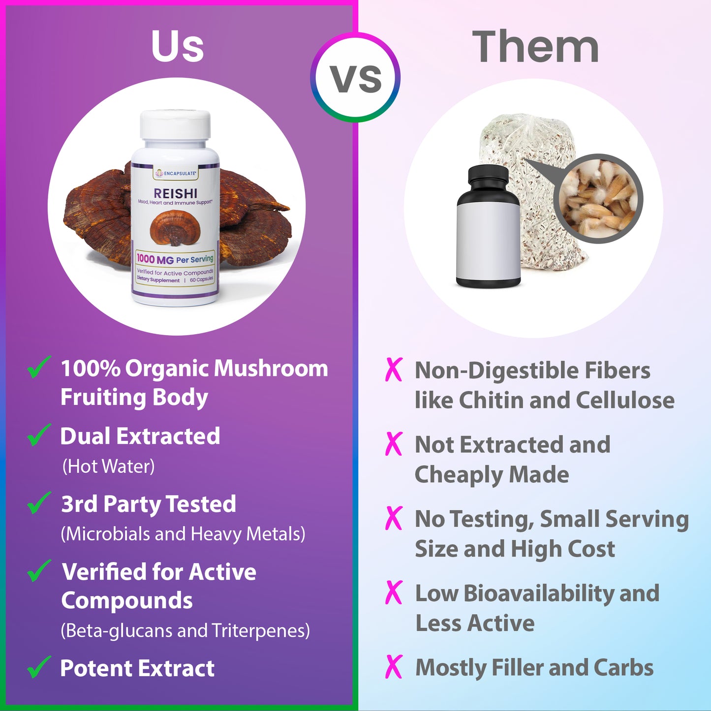 Reishi Mushroom 1:1