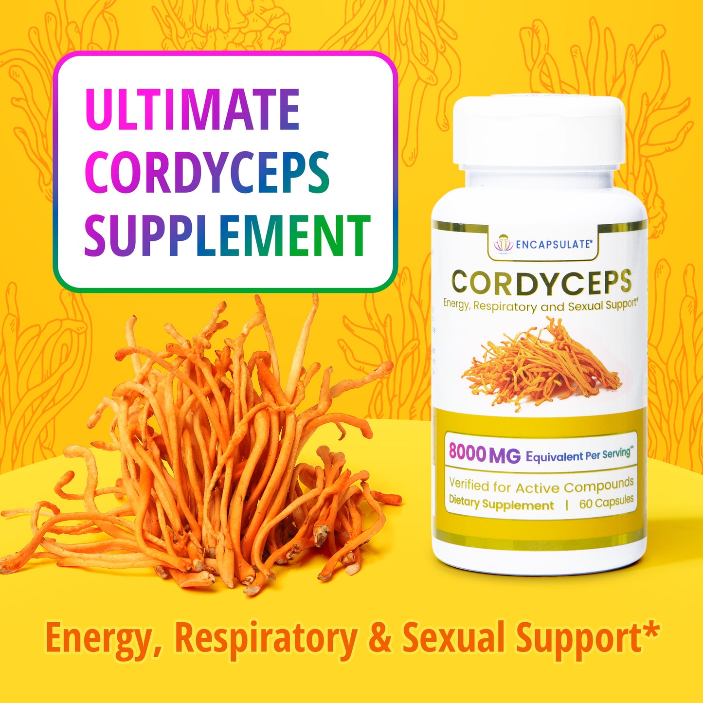 Cordyceps Mushroom 8:1
