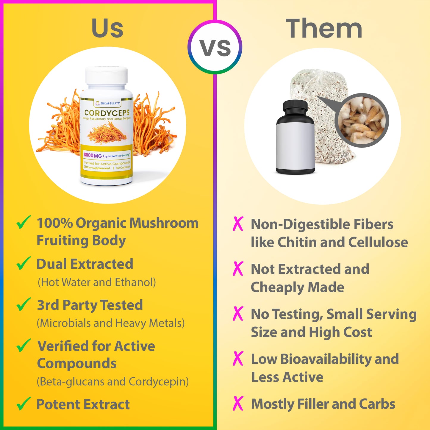 Cordyceps Mushroom 8:1