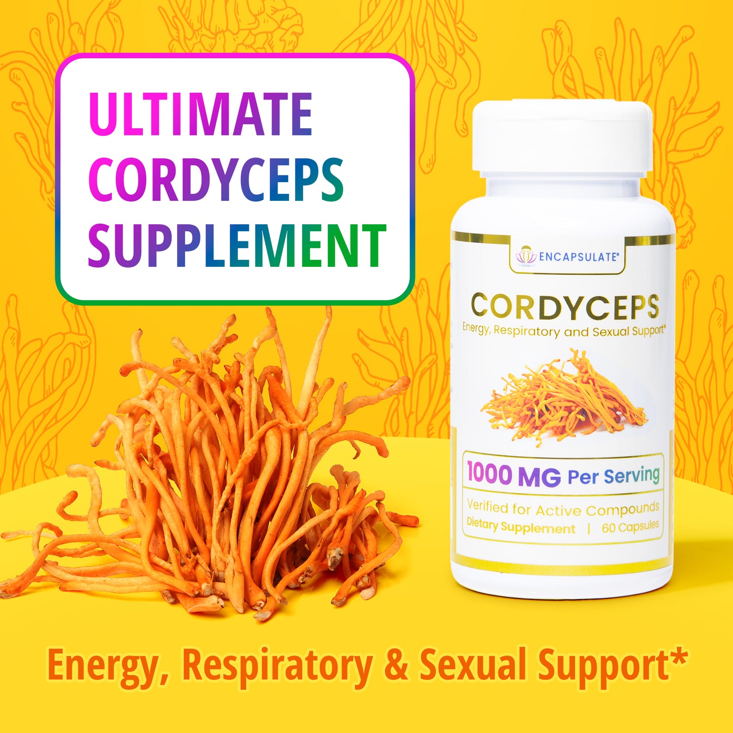 Cordyceps Mushroom 1:1