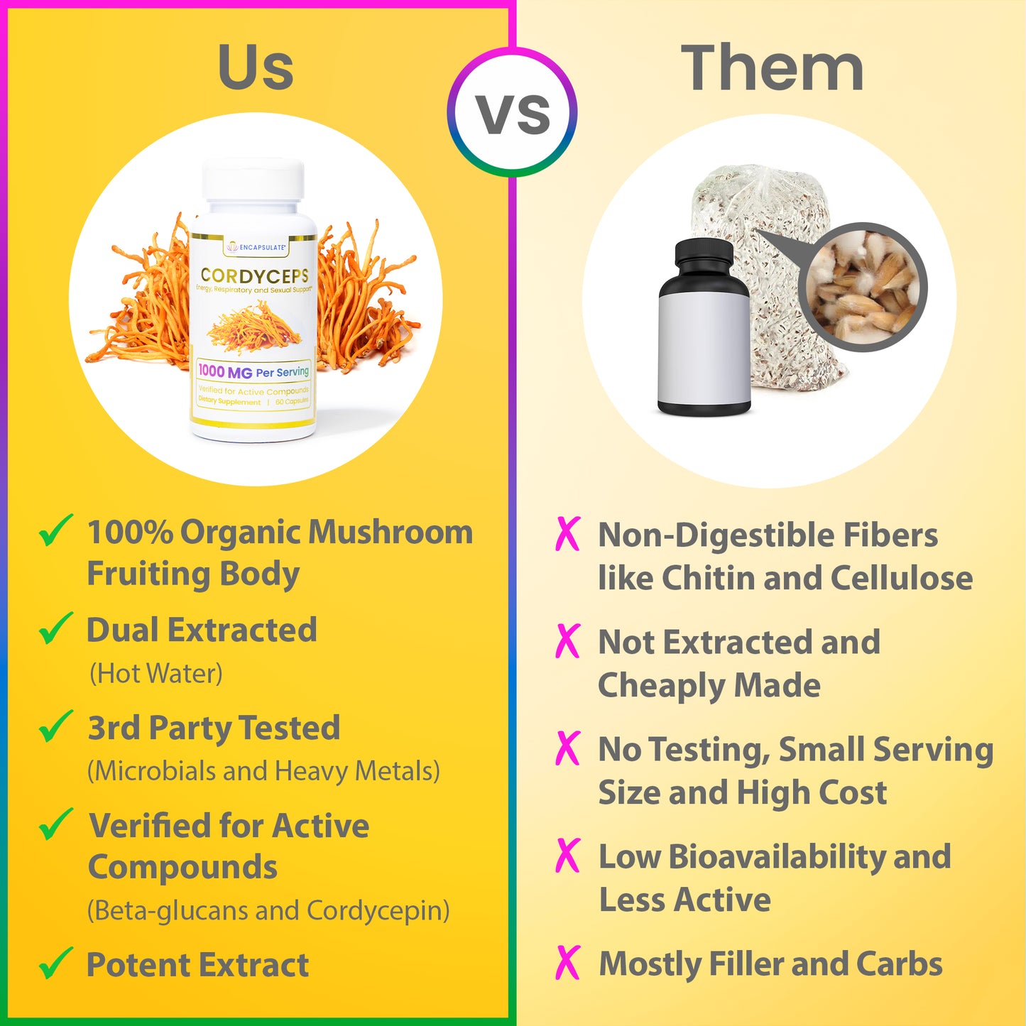 Cordyceps Mushroom 1:1