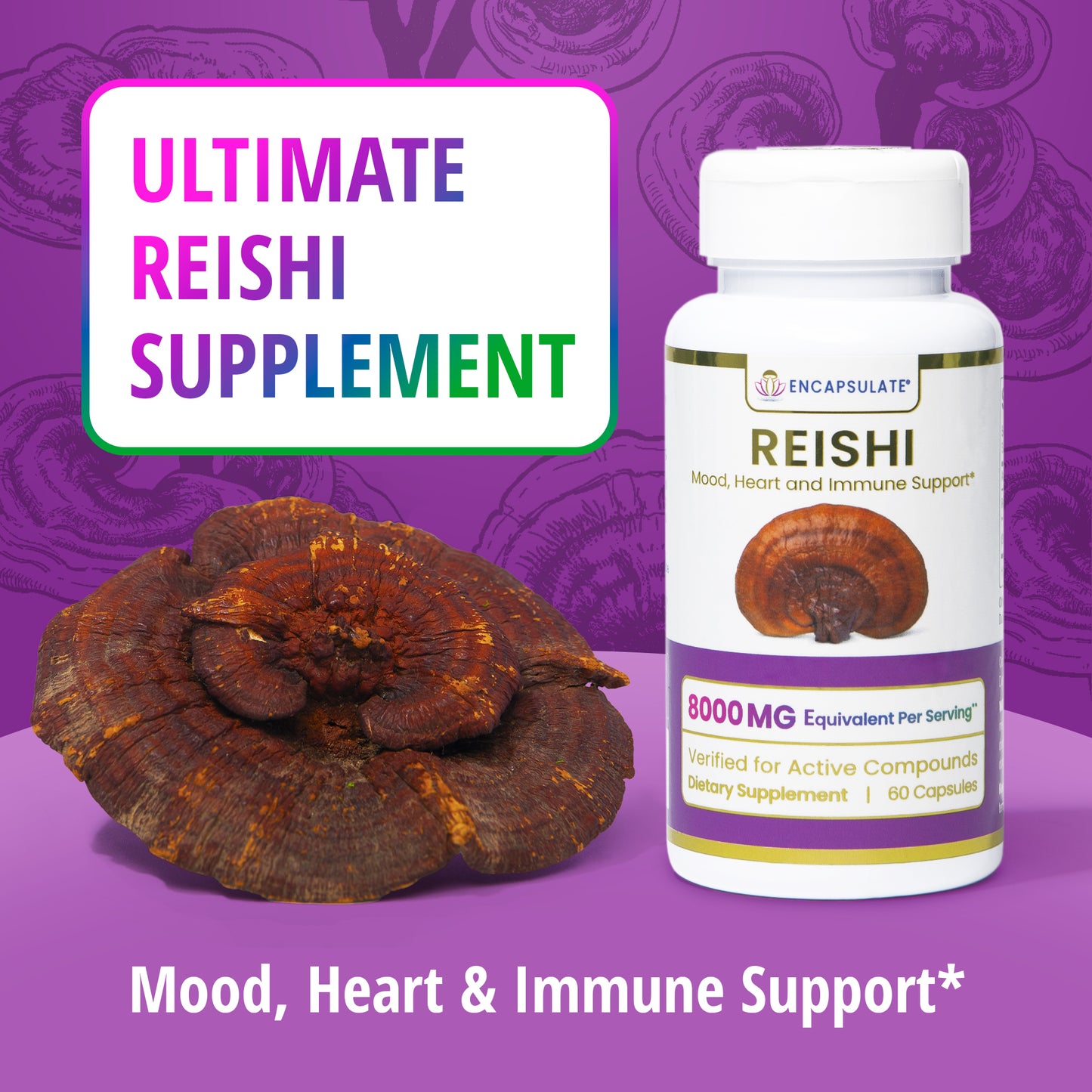 Reishi Mushroom 8:1