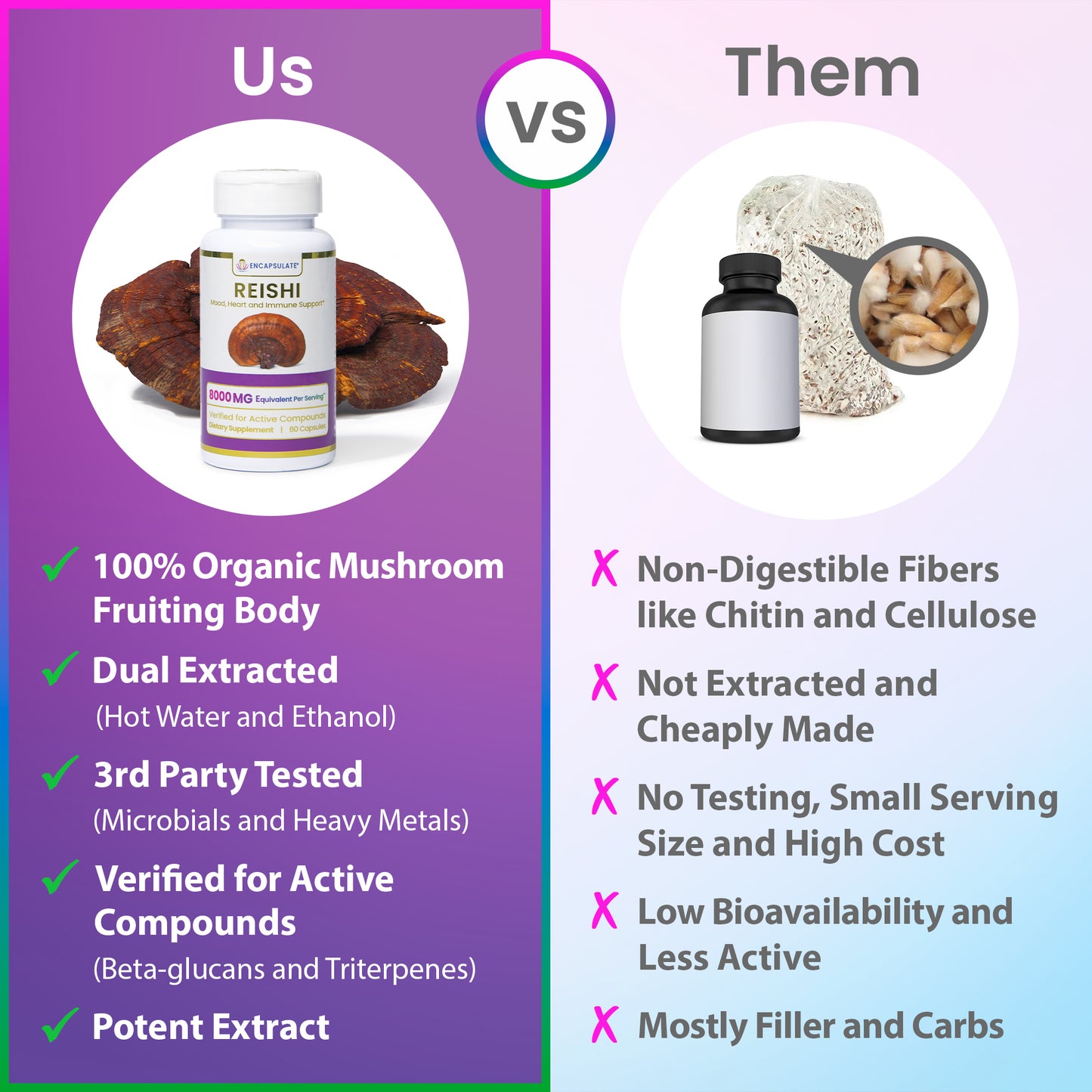 Reishi Mushroom 8:1