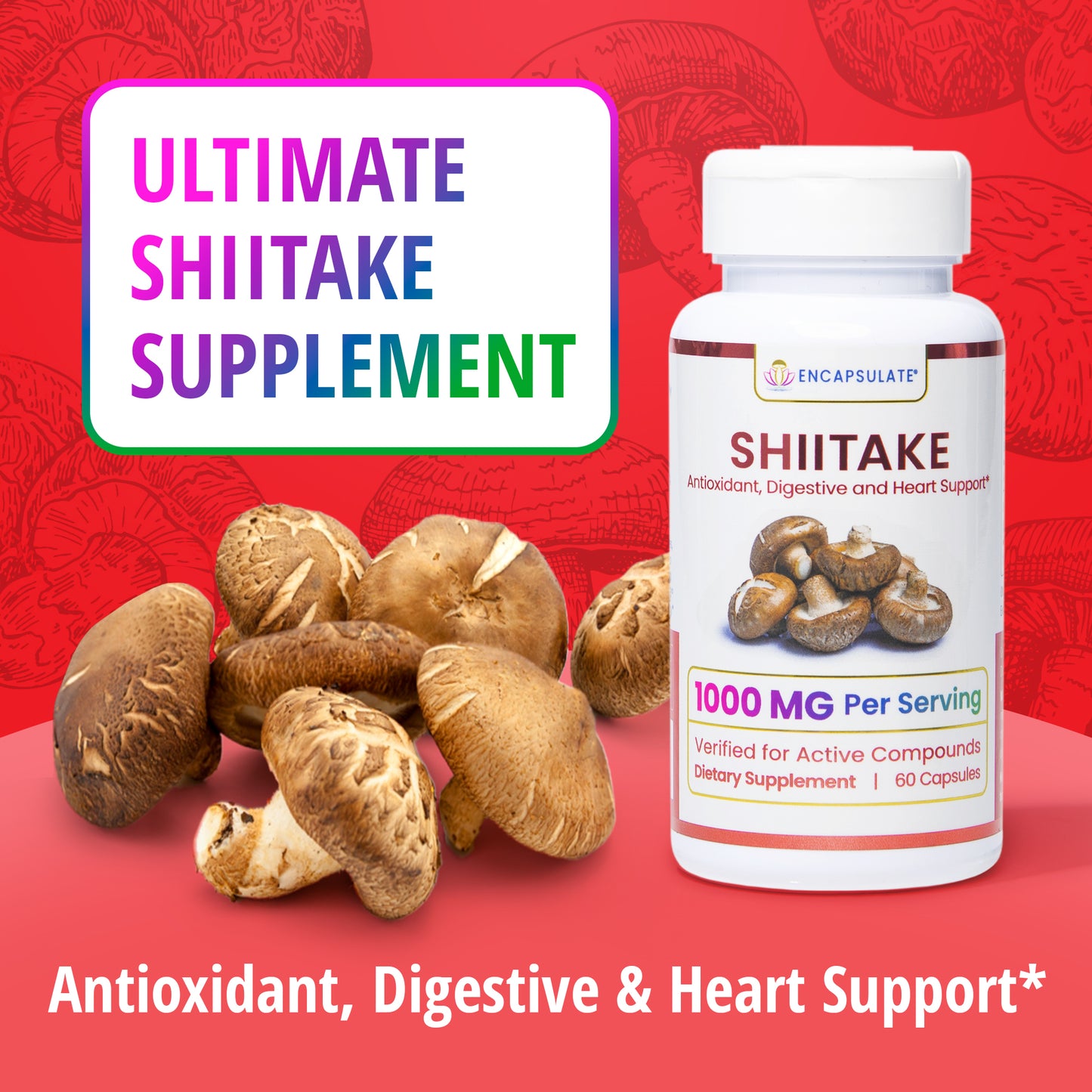 Shiitake Mushroom 1:1