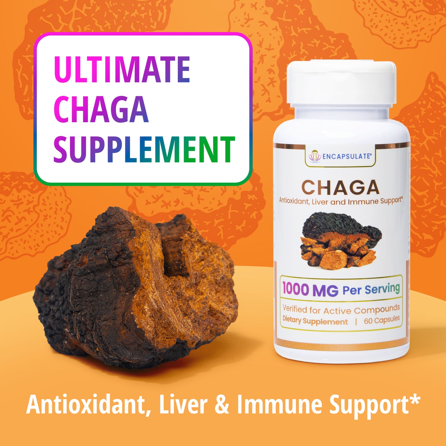 Chaga Mushroom 1:1