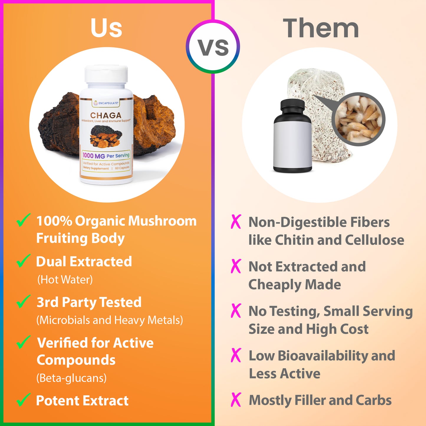 Chaga Mushroom 1:1