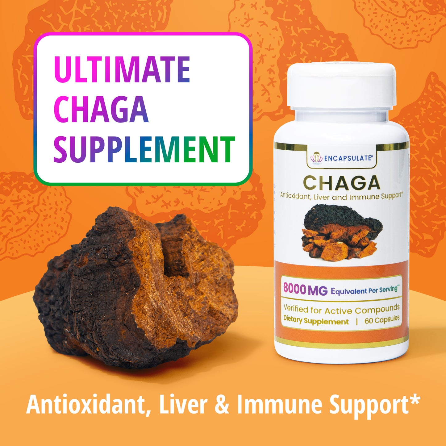 Chaga Mushroom 8:1