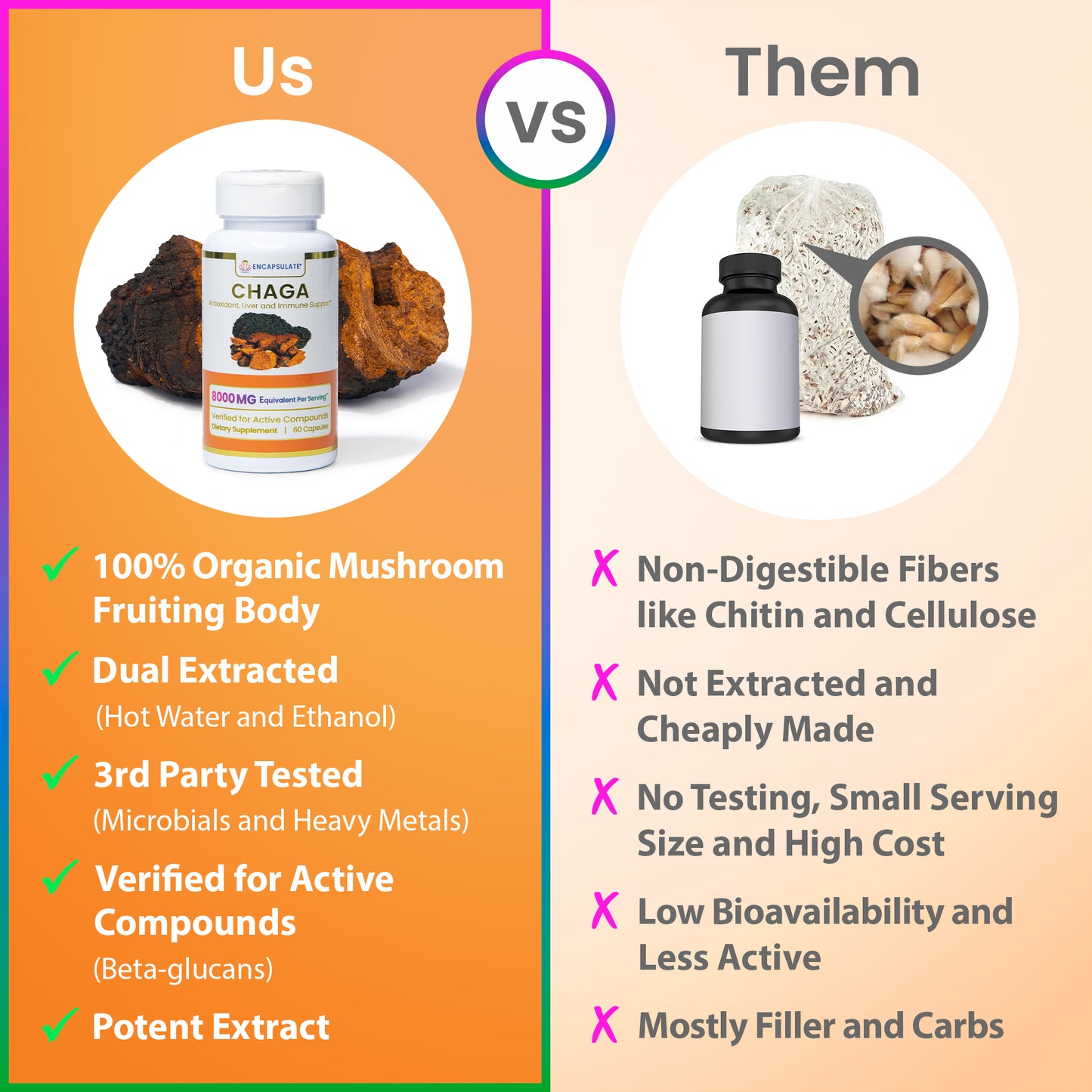 Chaga Mushroom 8:1