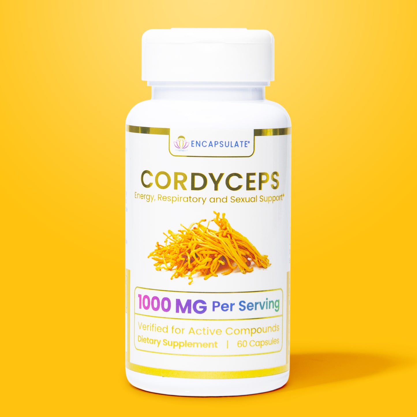 Cordyceps Mushroom 1:1