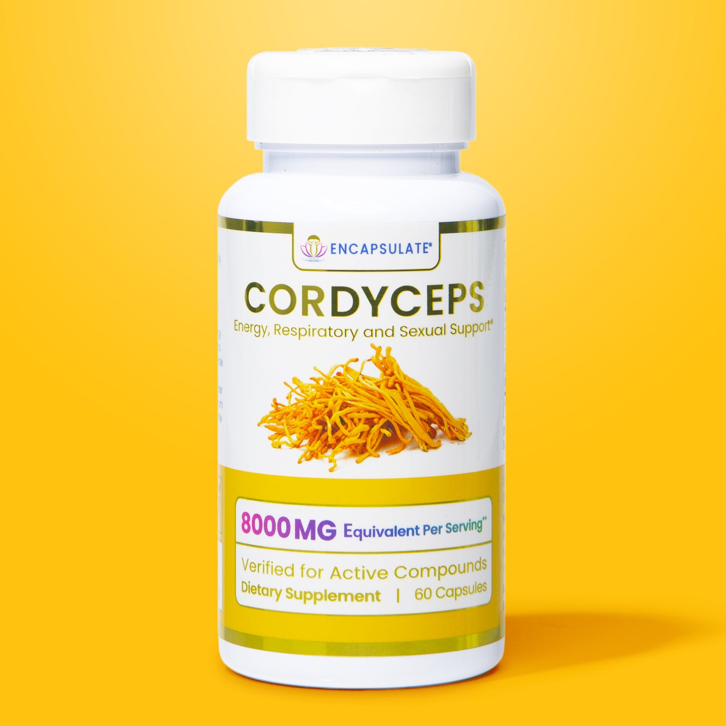 Cordyceps Mushroom 8:1