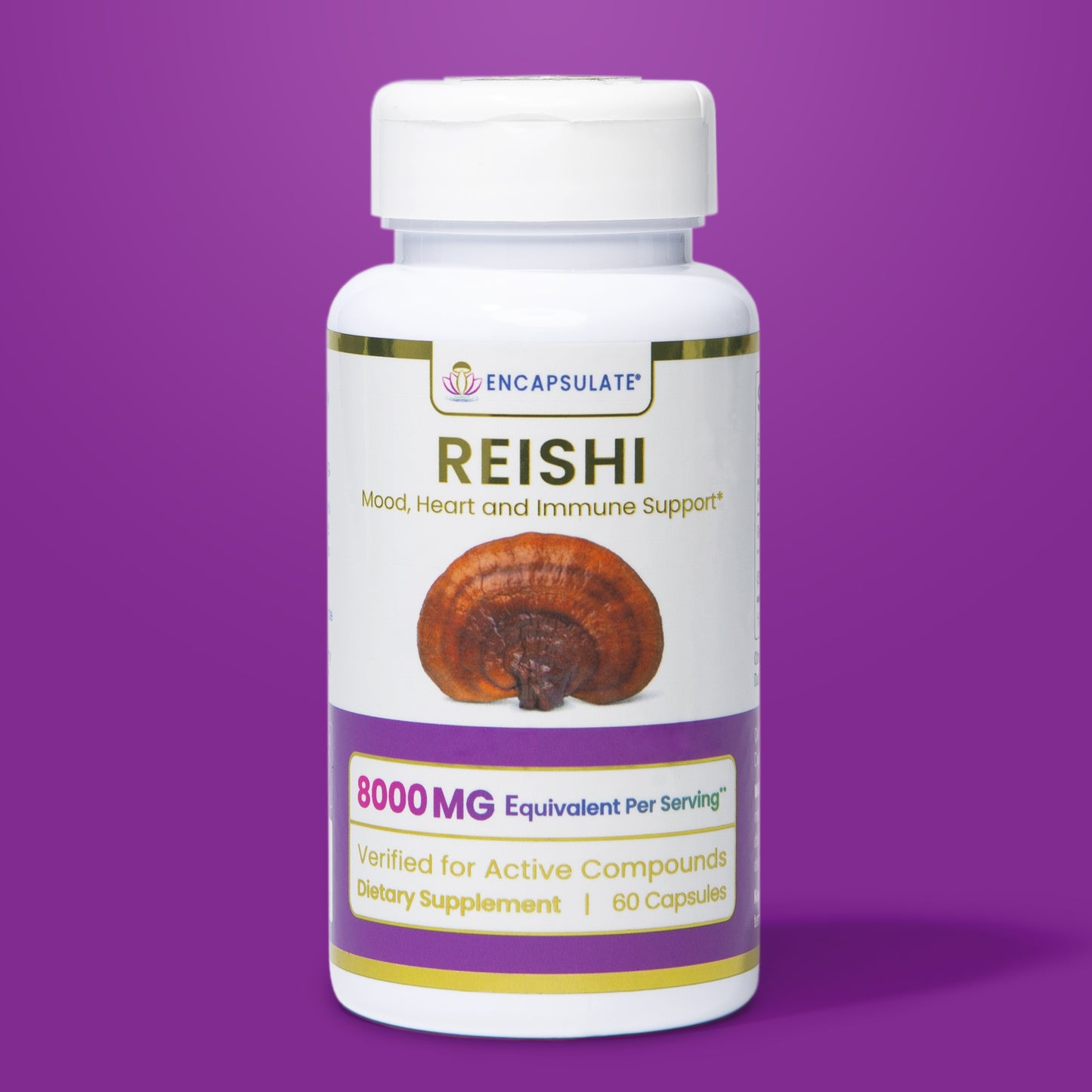 Reishi Mushroom 8:1