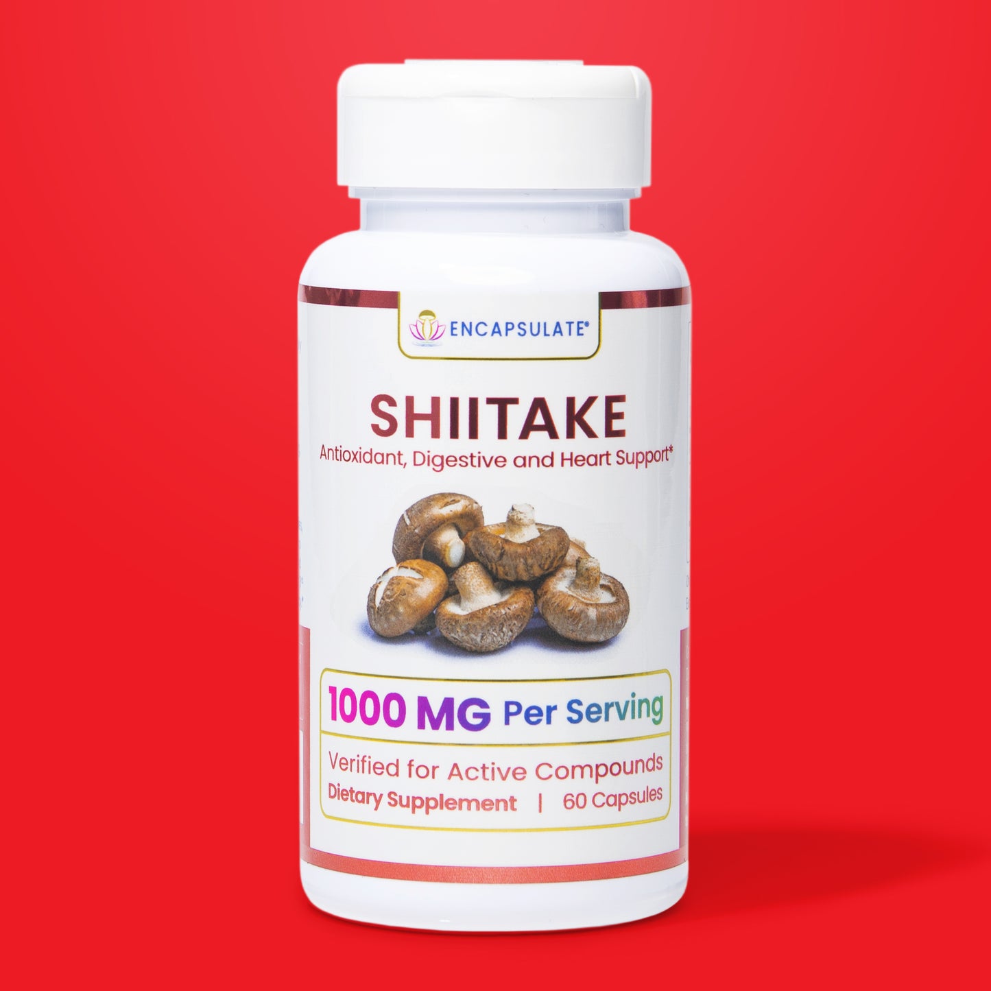 Shiitake Mushroom 1:1