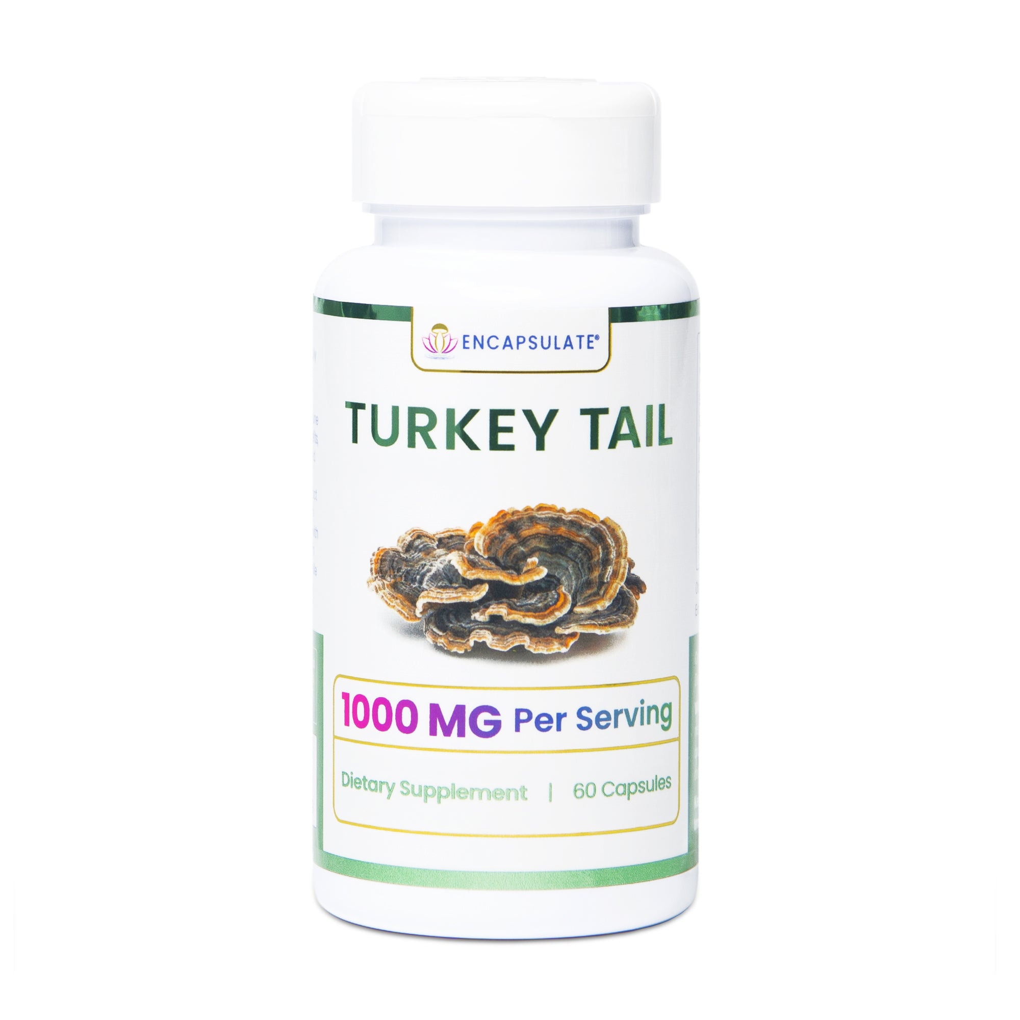 Encapsulate Turkey Tail Mushroom 1:1 – ENCAPSULATE
