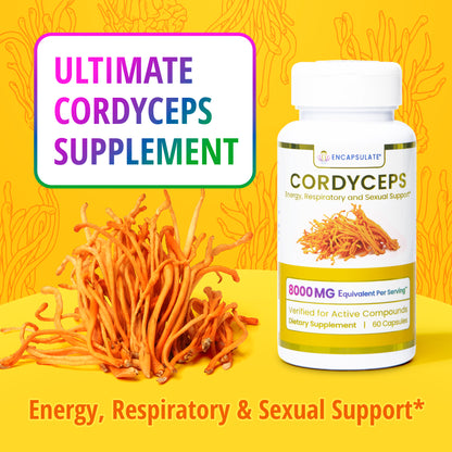 Cordyceps Mushroom 8:1