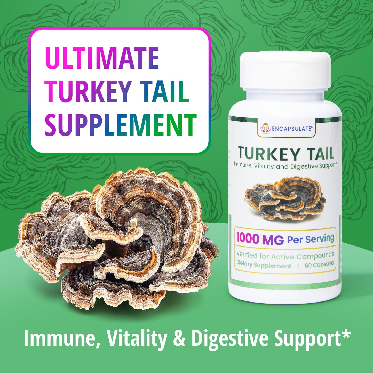 Turkey Tail Mushroom 1:1