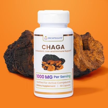 Chaga Mushroom 1:1