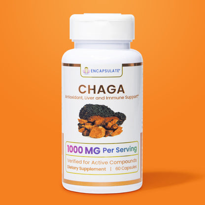 Chaga Mushroom 1:1