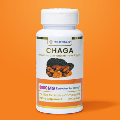 Chaga Mushroom 8:1