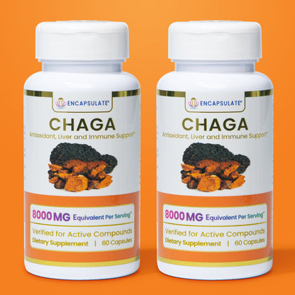 Chaga Mushroom 8:1