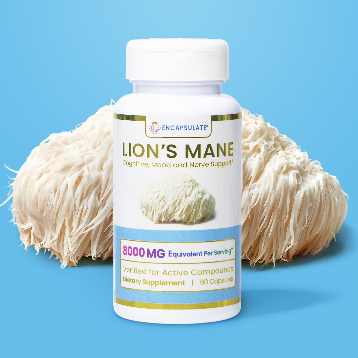 Lion's Mane Mushroom 8:1