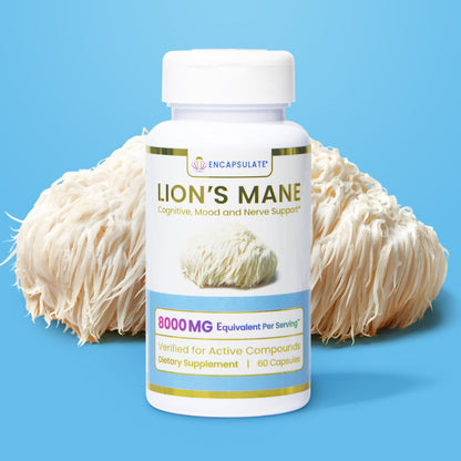 Lion's Mane Mushroom 8:1