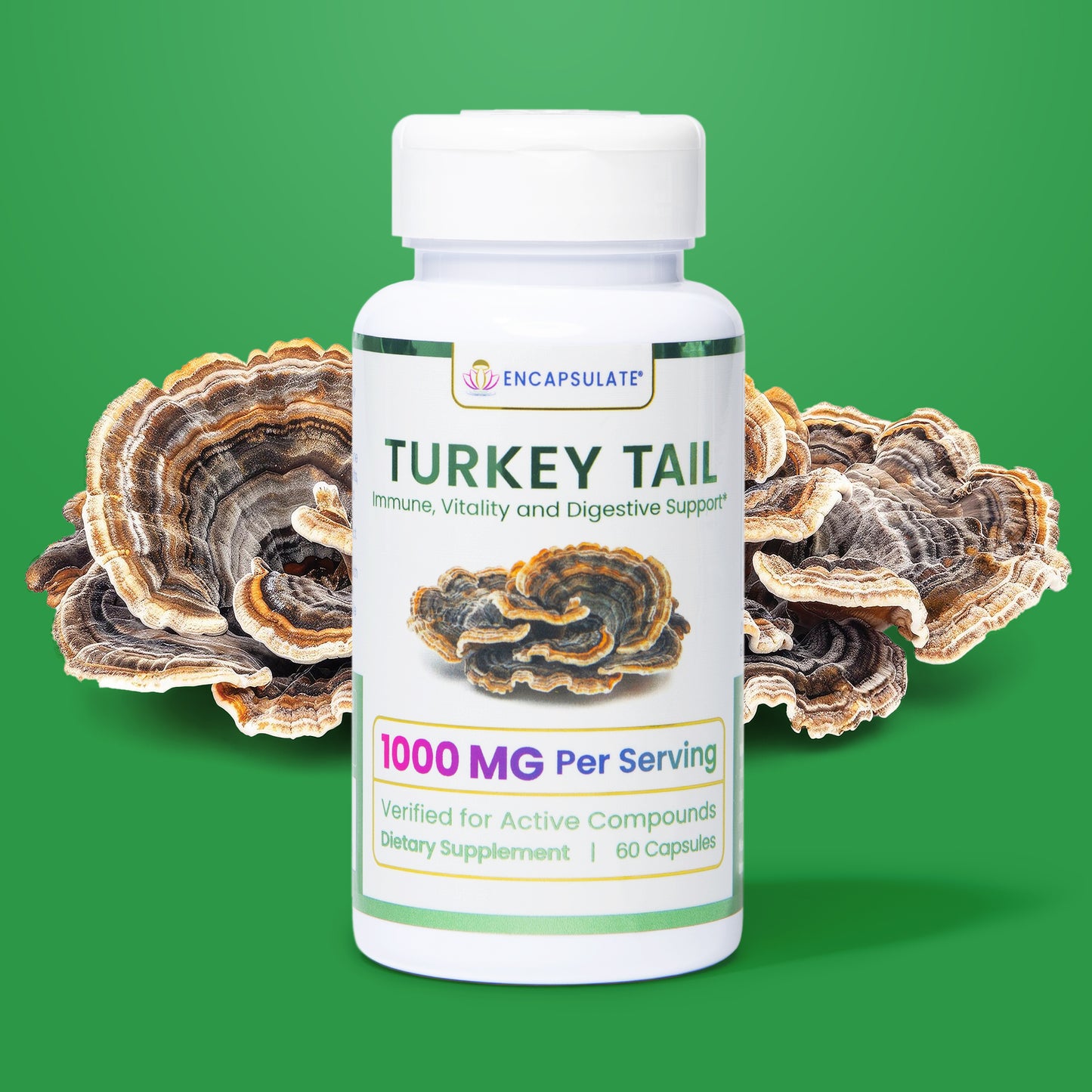 Turkey Tail Mushroom 1:1