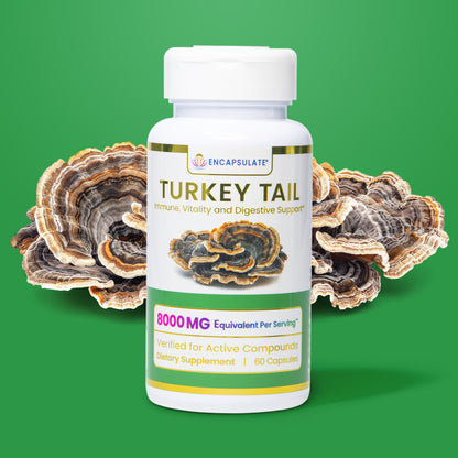 Turkey Tail Mushroom 8:1
